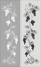 Рисунок лозы винограда  №14