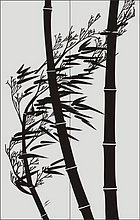 Бамбук в векторе №16